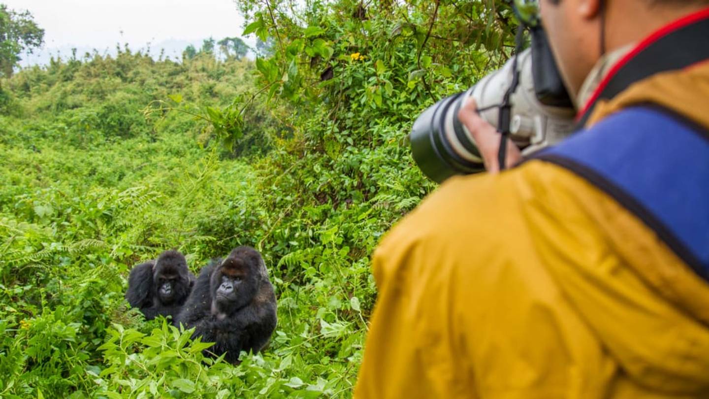 Should Scientists Battle Poachers by Keeping Animal Locations Secret?