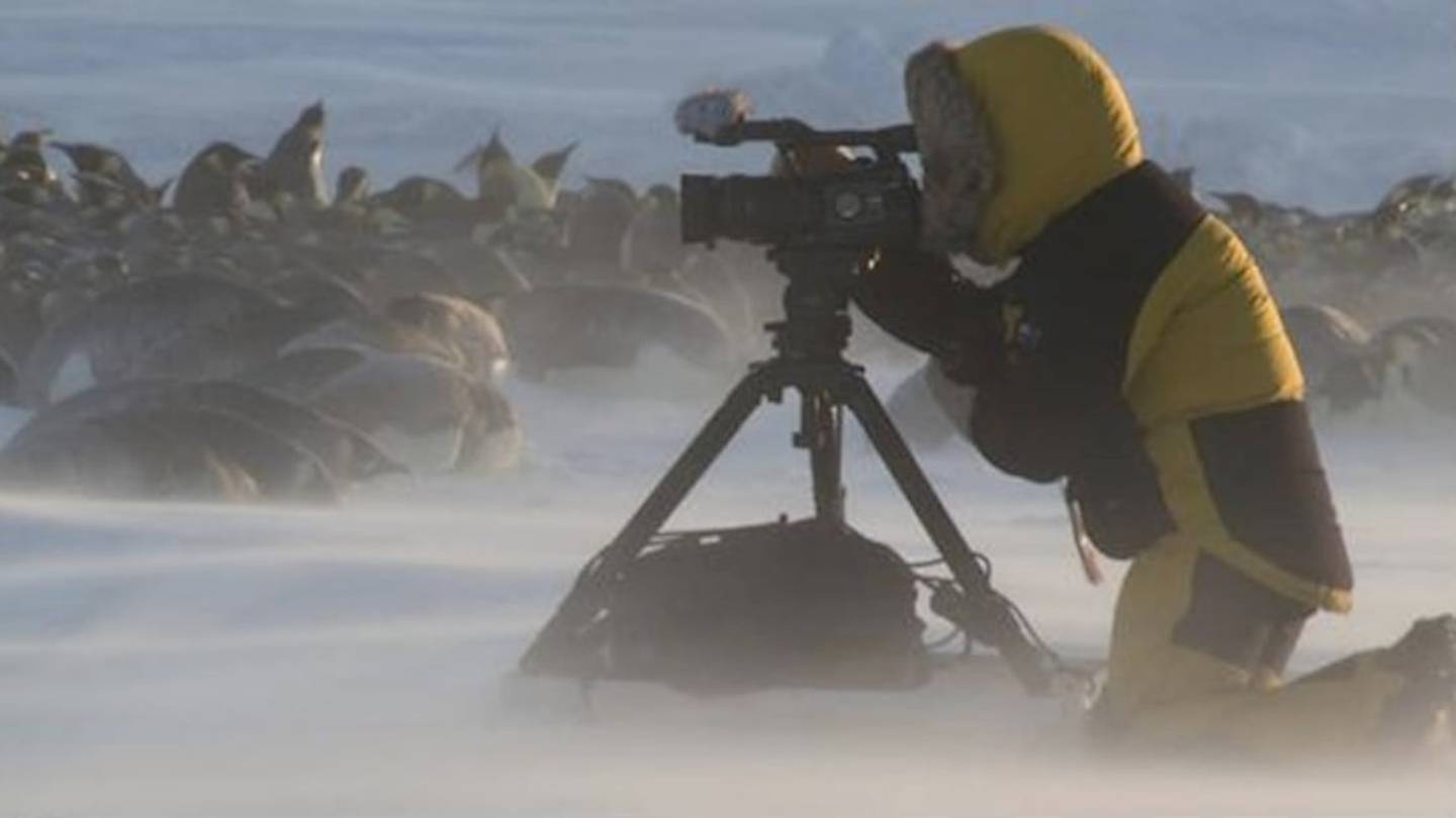Frederique Olivier, Camerawoman on <em>Penguins: Waddle All the Way</em>