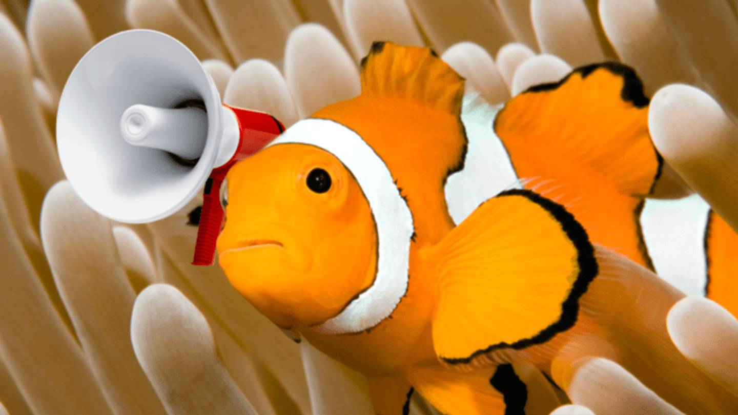 10 Surprisingly Noisy Sea Critters