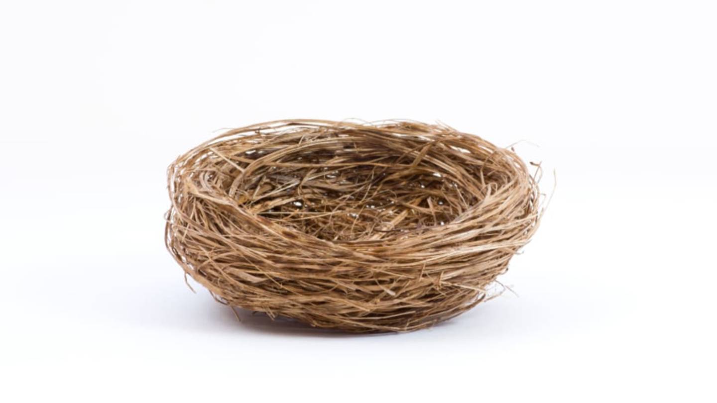 How Some Birds Evolved to Build Protected Nests