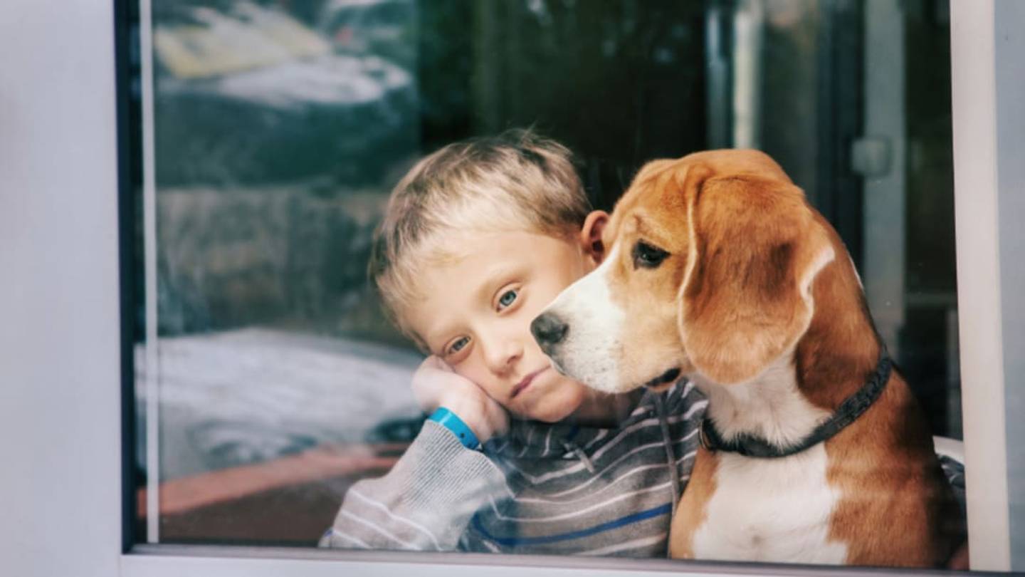 Science Says Dogs Can Tell If You're Happy or Sad