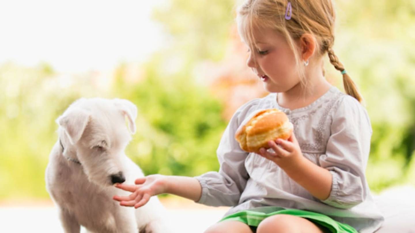 13 Foods You Can't Share with Your Pet