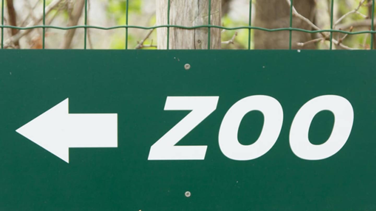 10 Behind-the-Scenes Secrets of Zoos