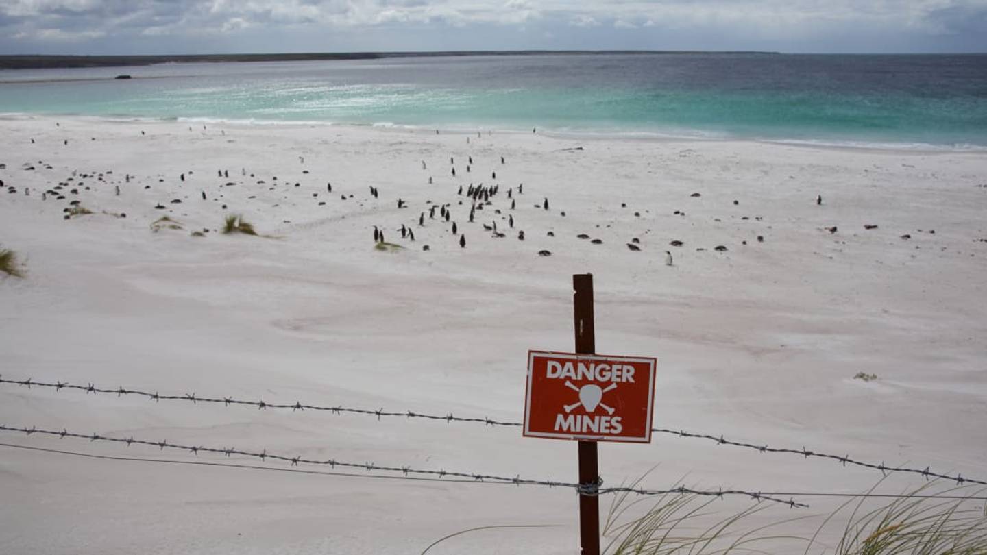 How an Island Full of Landmines Led to a Thriving Penguin Population