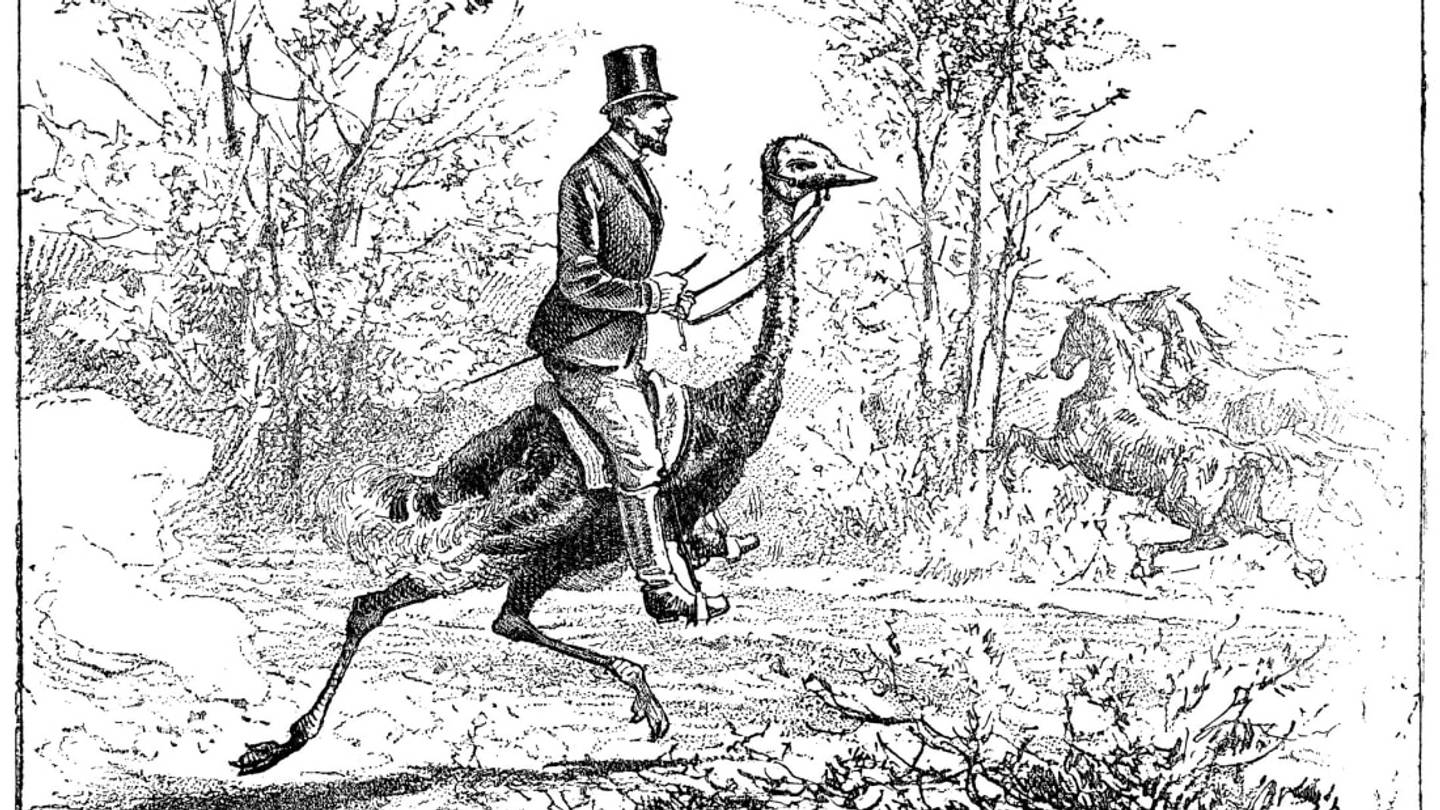 Dubious Victorian Advice for Keeping 6 Unusual Pets