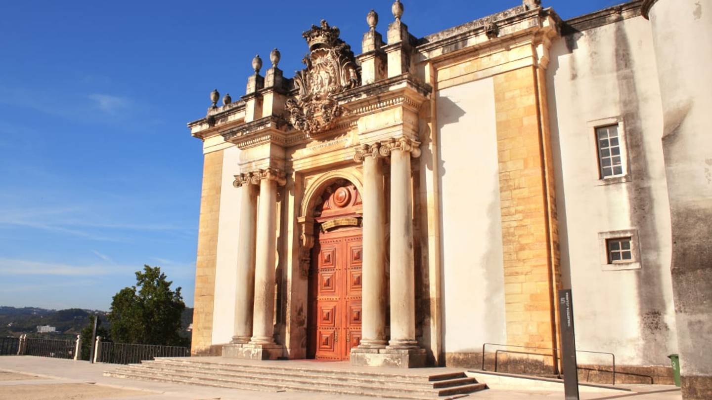 How Bats Protect Rare Books at This Portuguese Library