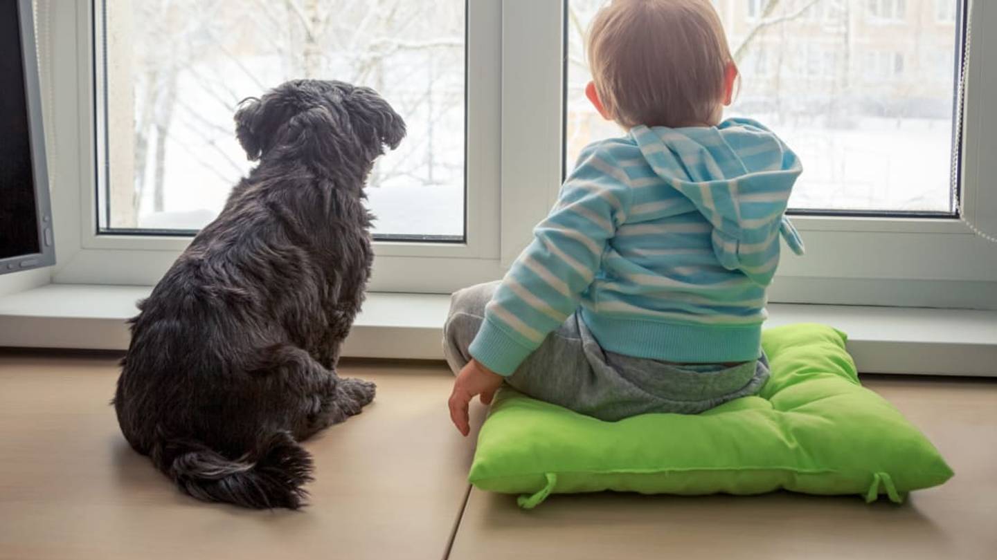 Furry Friends Could Help Prevent Allergies and Obesity in Babies