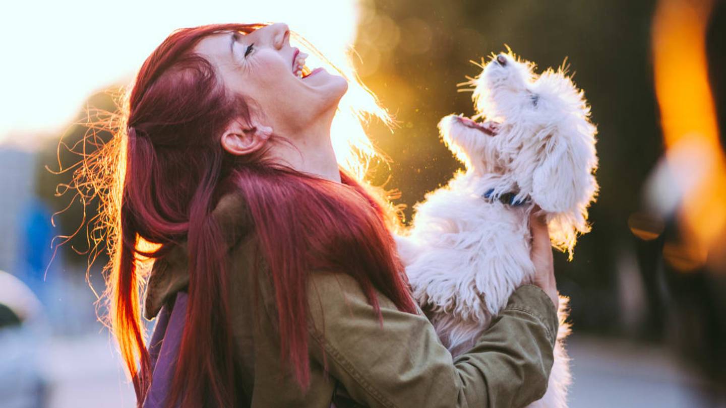 Are Dogs Empathetic? It Depends on the Individual Dog