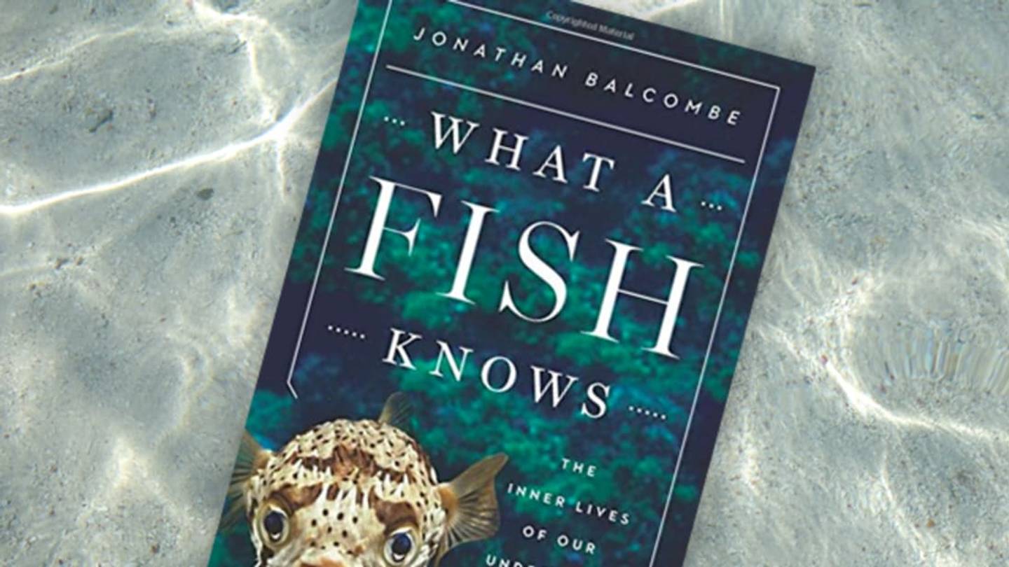 7 Things You Never Knew About Fish