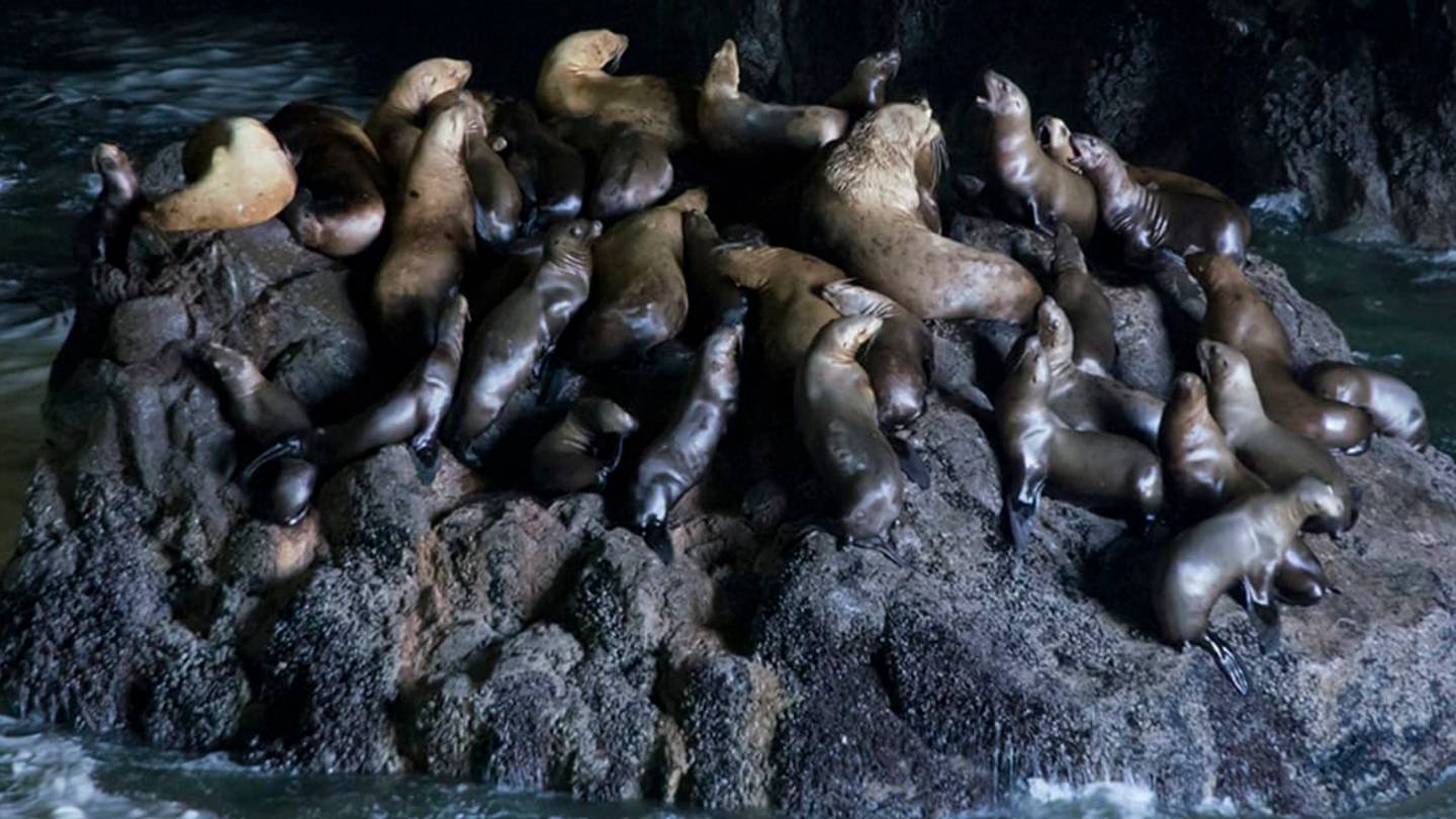 12 of the World's Most Unusual Zoos