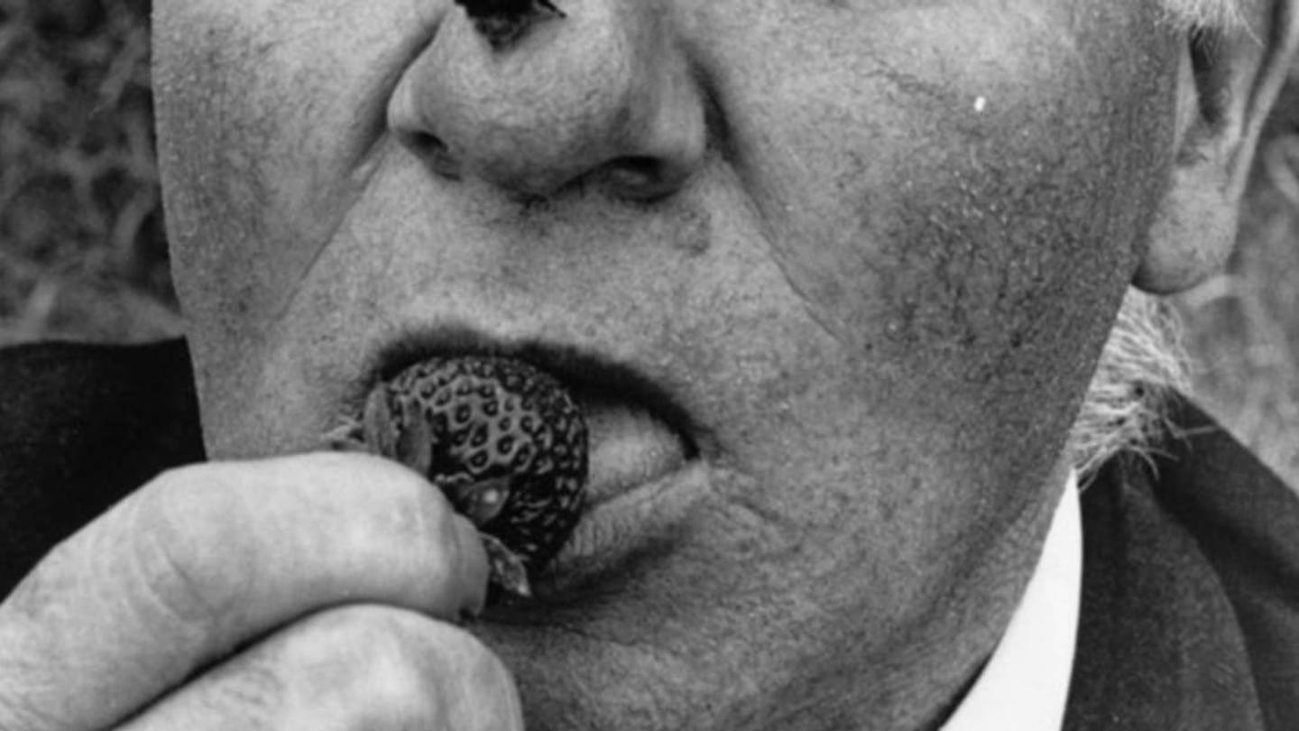 12 Deleted Wikipedia Pages With Freaky Titles