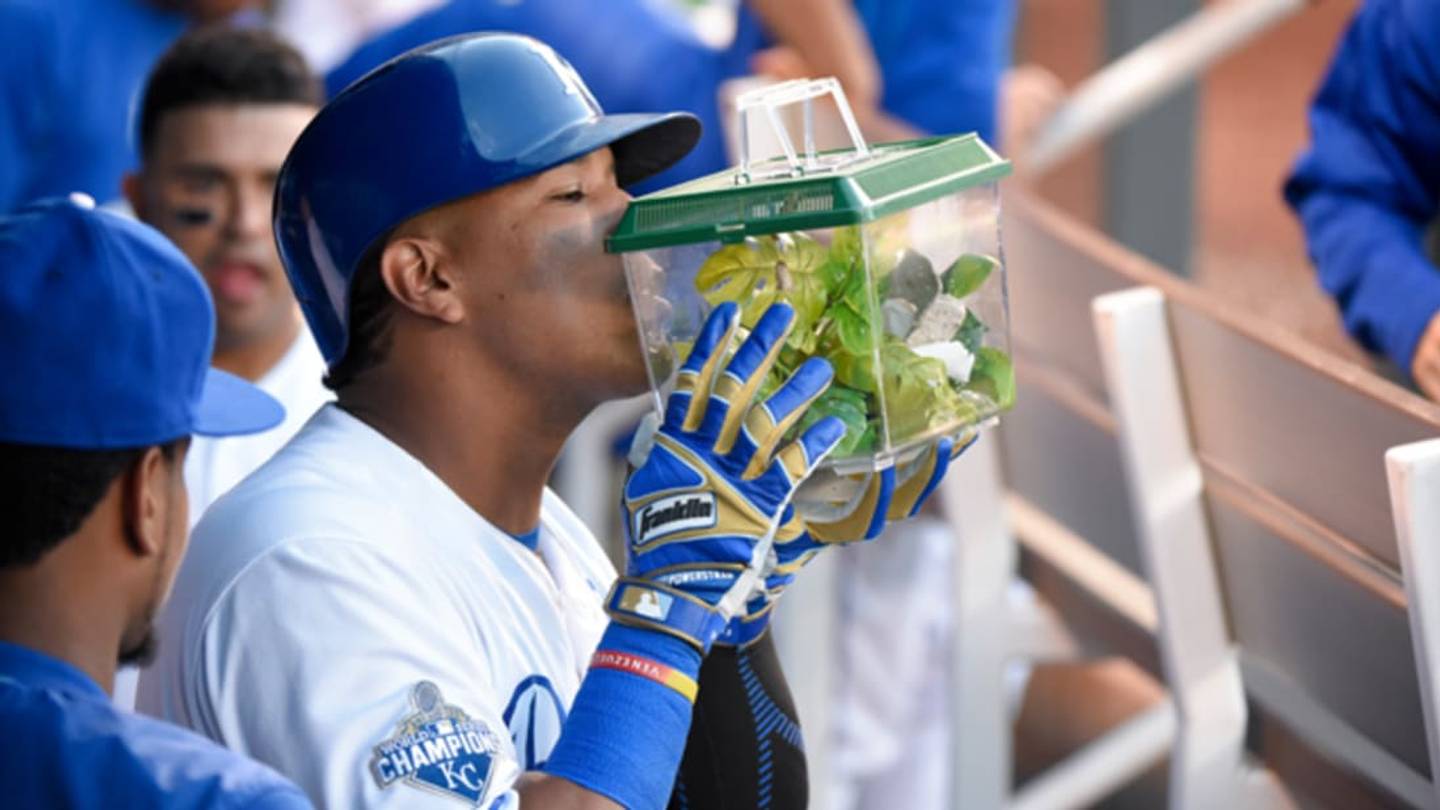 A Praying Mantis Has Become the Kansas City Royals' Good Luck Charm