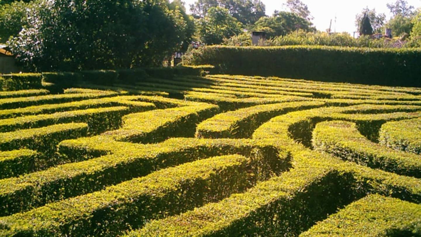 15 Intricate Facts About Mazes