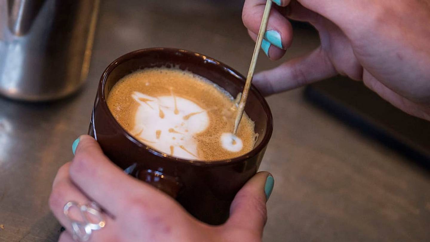 A Brief History of the CatÂ CafÃ©