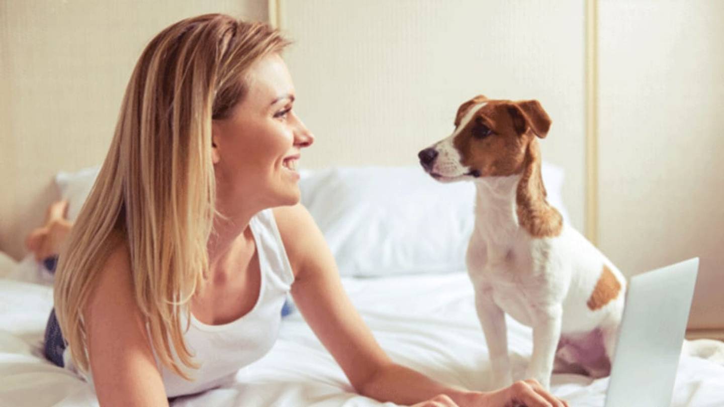 8 Tips for Finding a Pet-Friendly Apartment