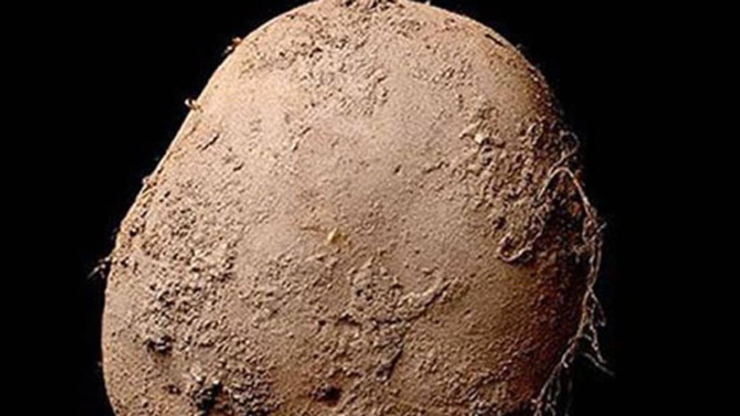A Man Spent More Than $1 Million on a Picture of a Potato