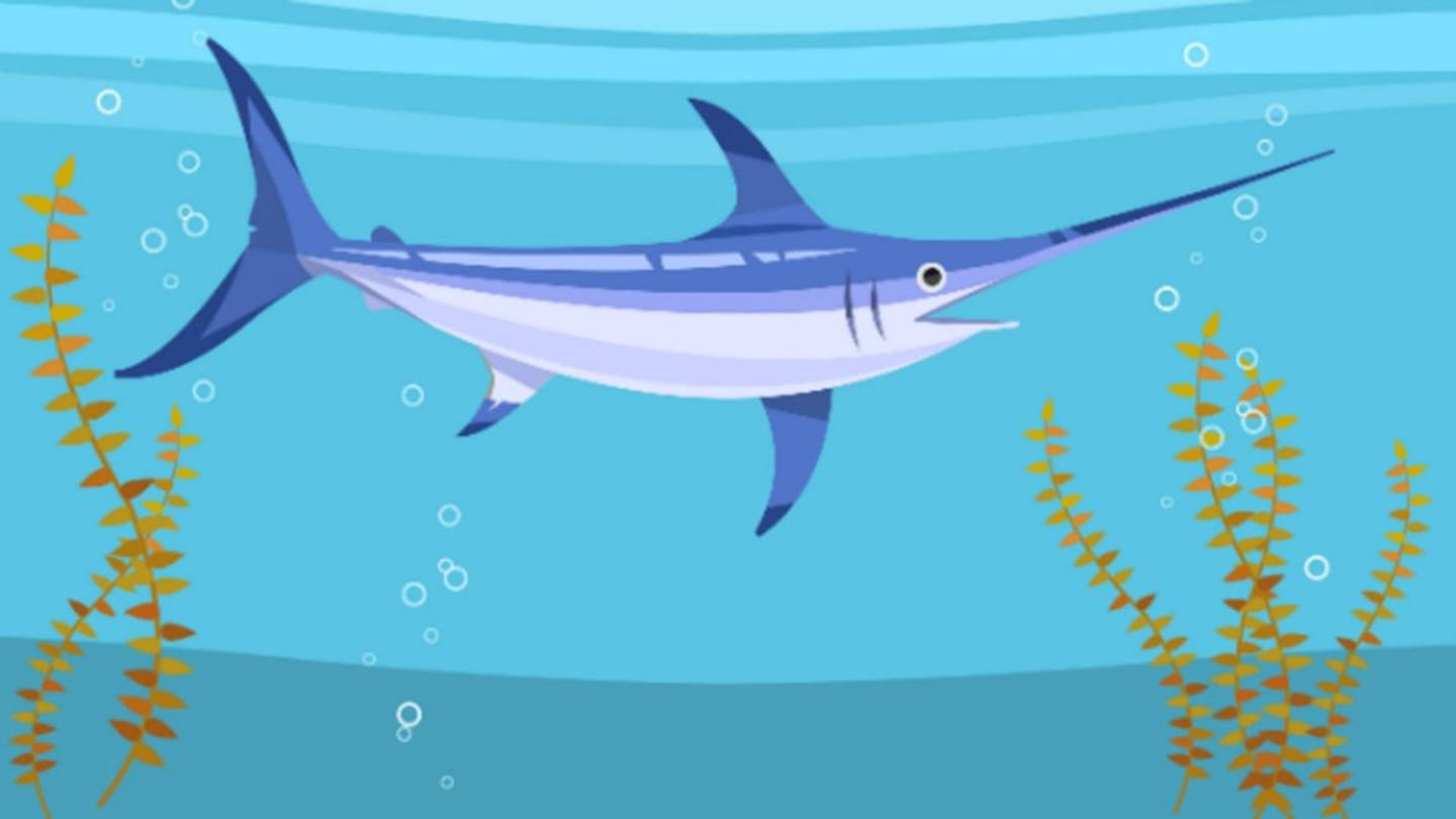 Swordfish May Grease Their Faces to Swim Faster