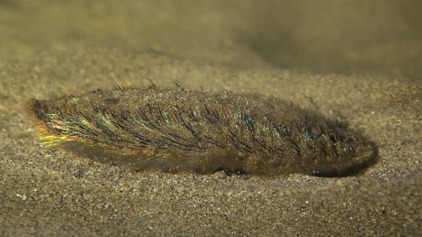 7 Animals With Grand Mythological Names