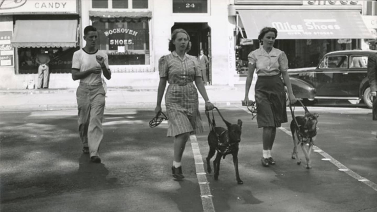 How Seeing Eye Dogs Found Their Way to America