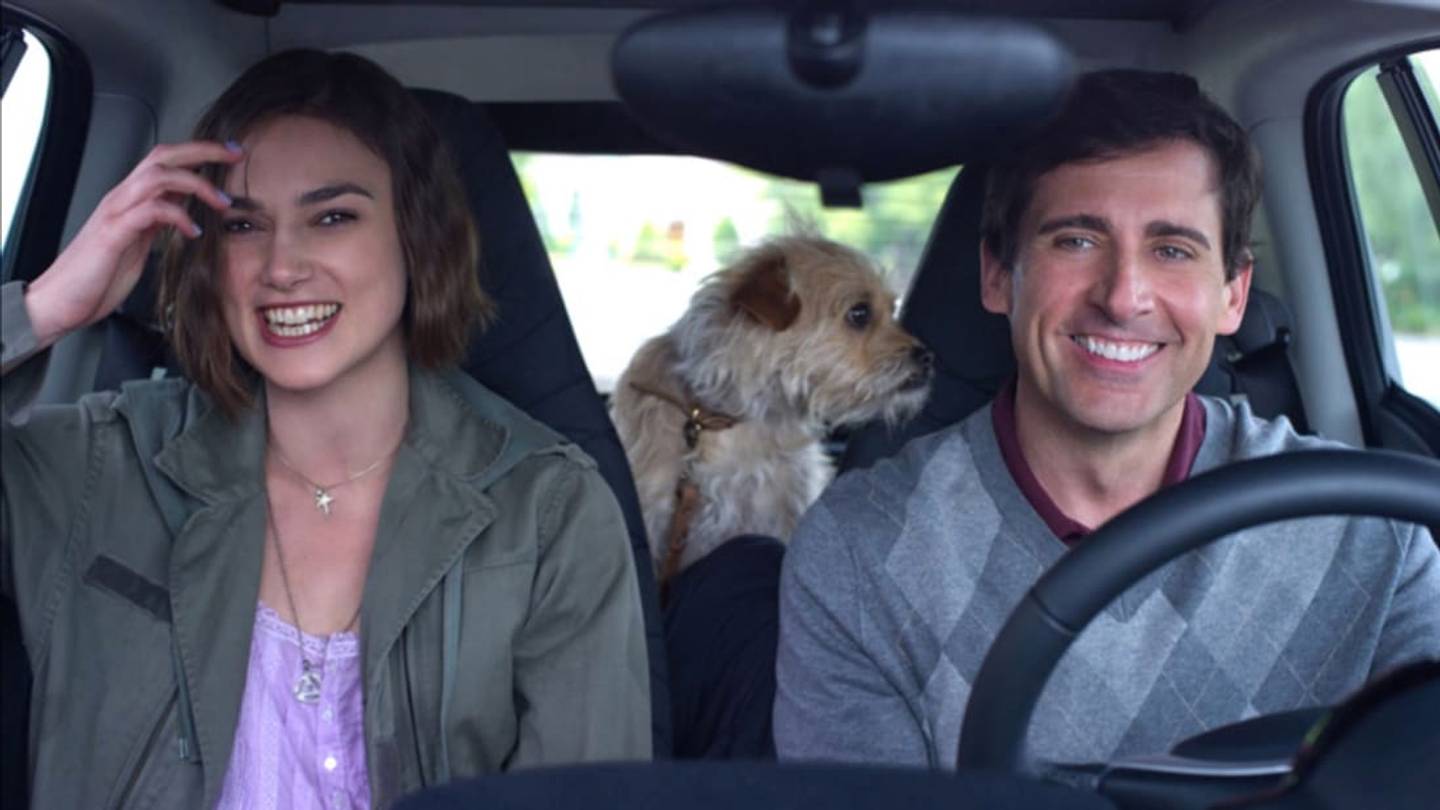 25 Shelter Dogs Who Made It Big