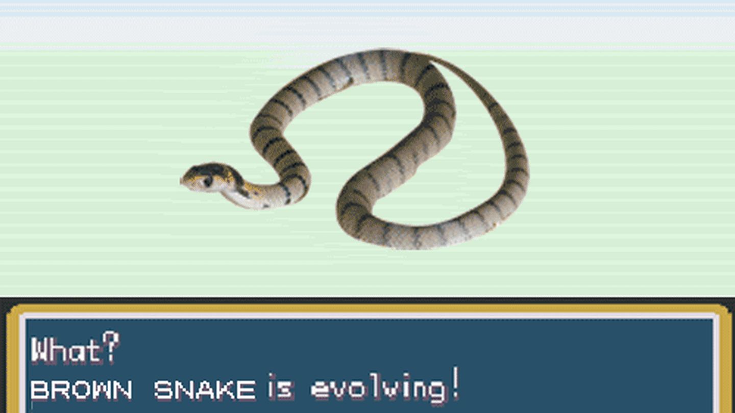 This Snakeâs Venomous Powers Morph as It Grows Up