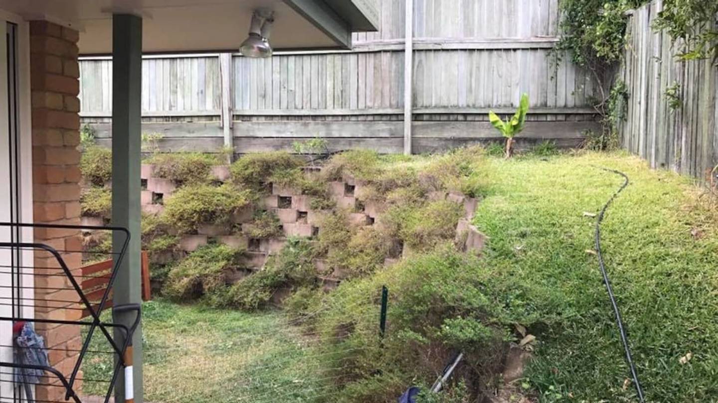 Can You Find the Snake In This Photo?