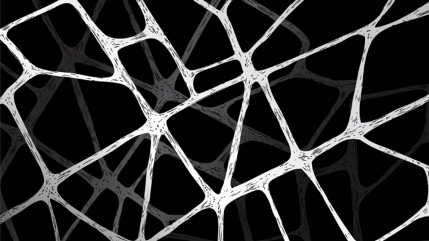 Researchers Created Spiders That Spin Super-Silk