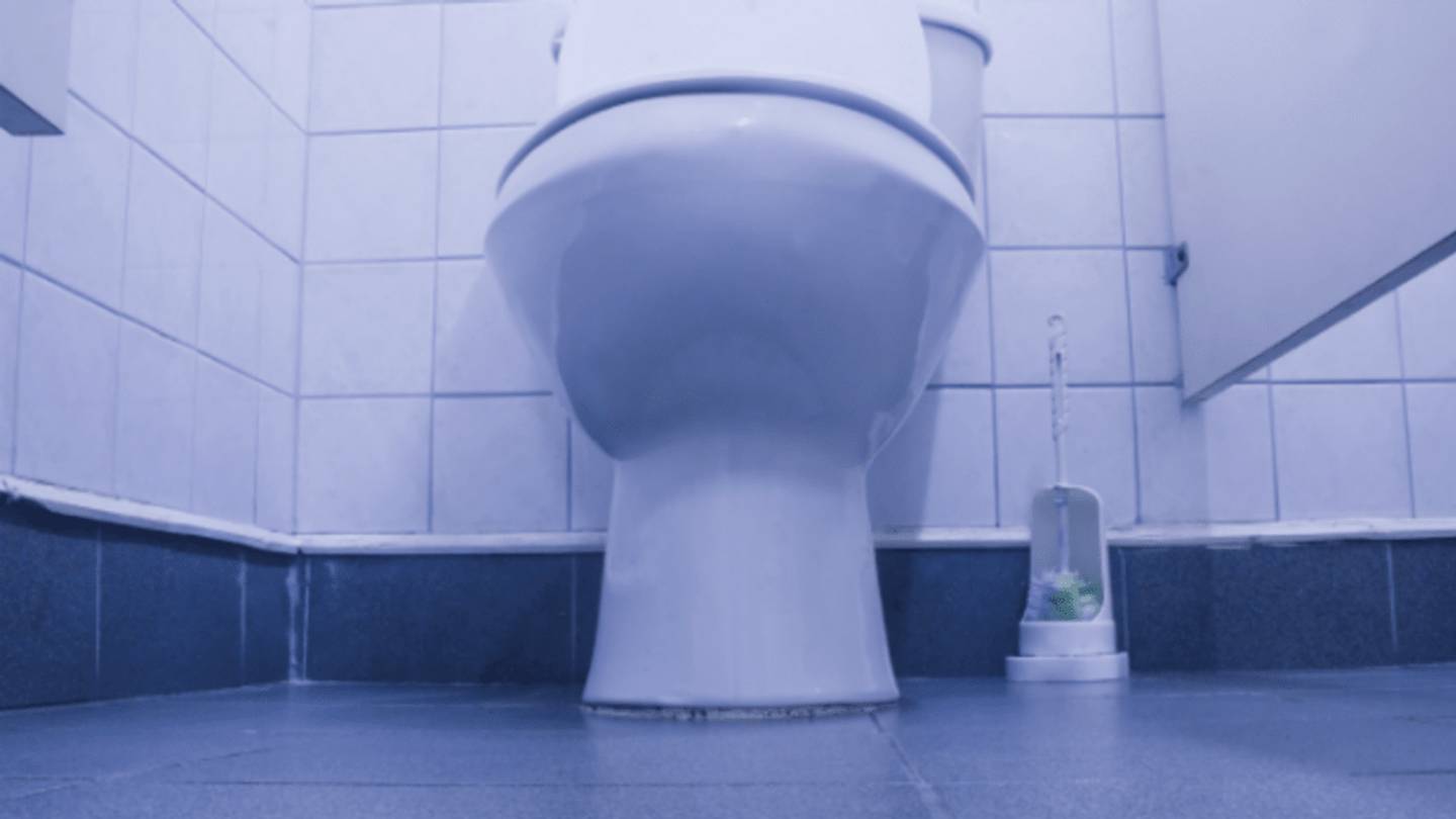 Where Do Insects Poop?