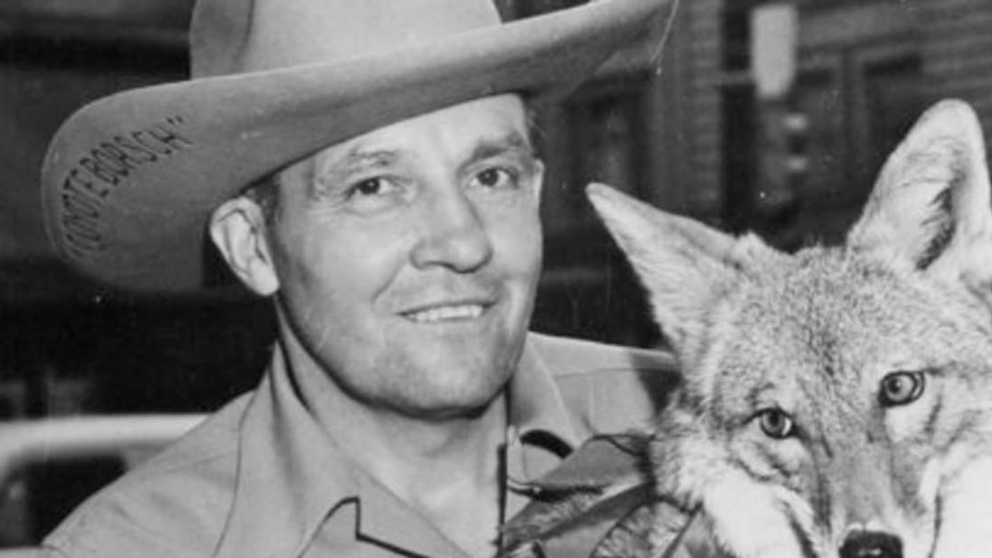 Tootsie, the Singing Coyote