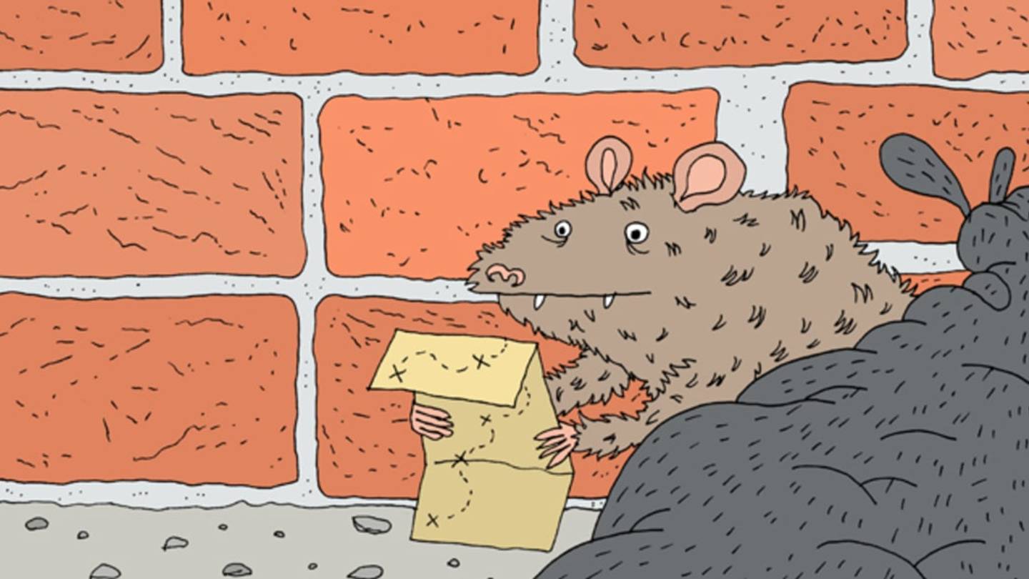 7 Things You Probably Didnât Know About Rats