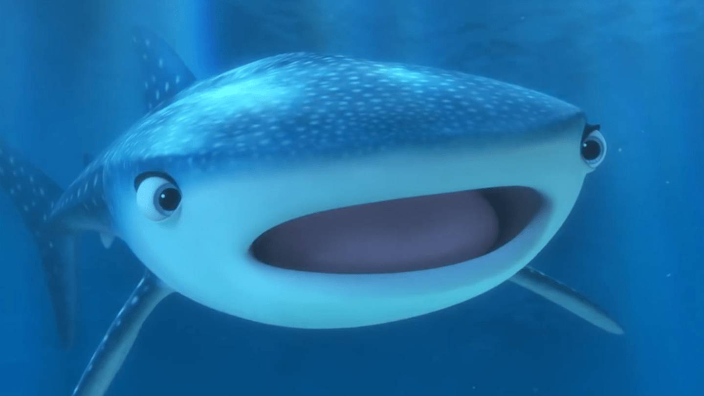 10 Huge Facts About Whale Sharks