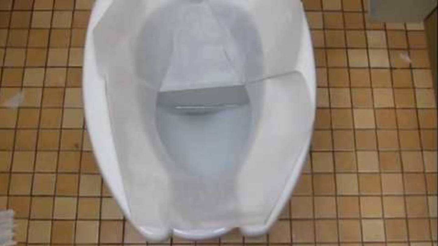 How Are You Supposed to Use a Toilet Seat Cover? Where Does ...