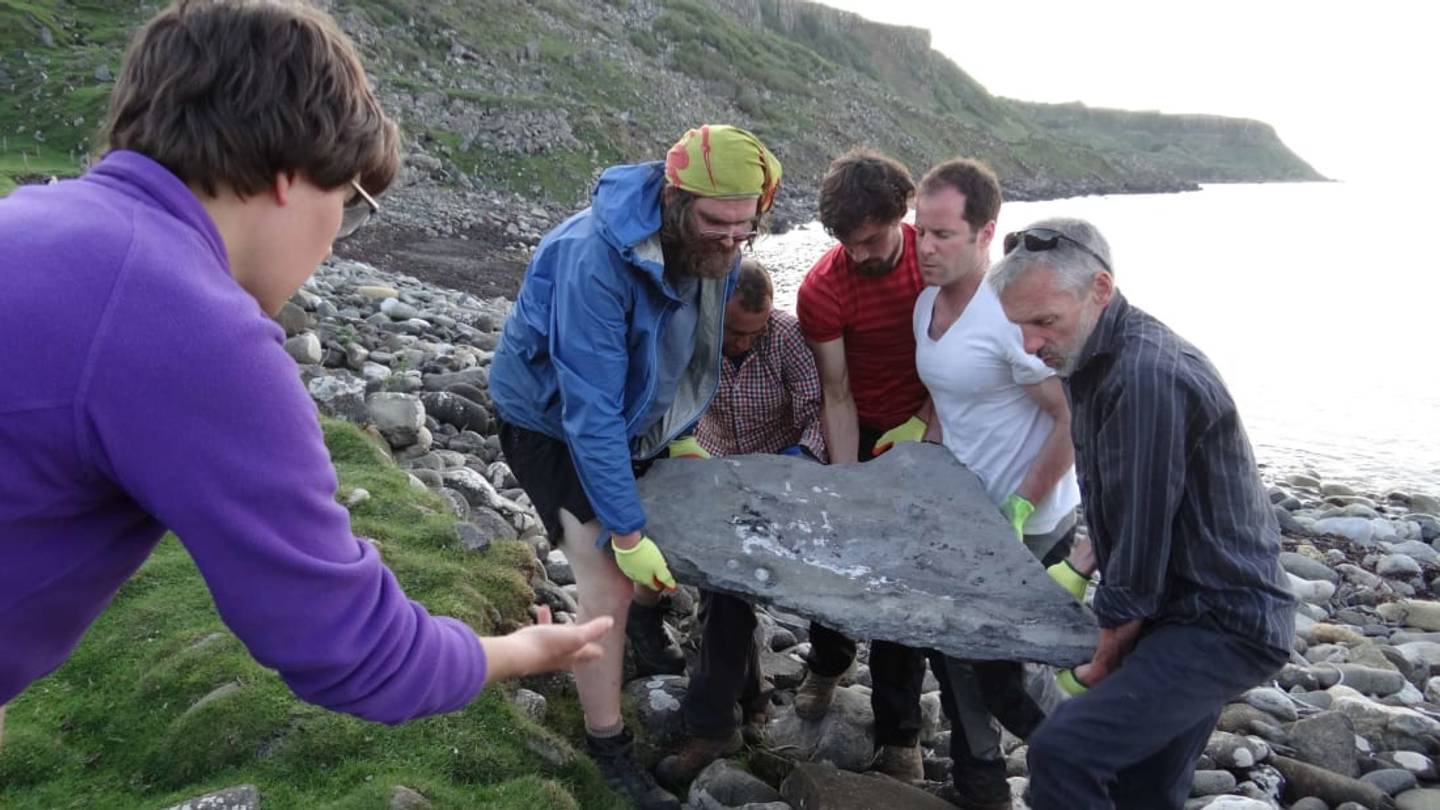 スコットランドのスカイ島でその時代最大の翼竜が発見される