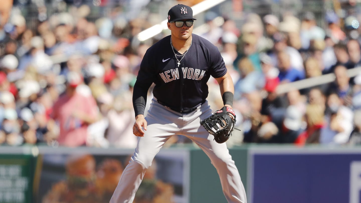 Yankees slugger Luke Voit on his new book, 'Luke's Baseball Story