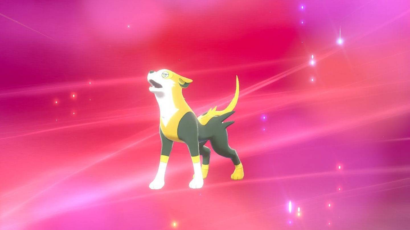 Boltund Pokemon Sword And Shield Evolution Location And Stats