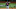 Chicago Cubs Kris Bryant
