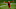 Portugal, Cristiano Ronaldo (Photo credit should read PONTUS LUNDAHL/AFP via Getty Images) Portugal, Cristiano Ronaldo (Photo credit should read PONTUS LUNDAHL/AFP via Getty Images)