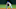 daniel murphy daniel murphy