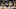 Myles Turner Alize Johnson Aaron Holiday Elijah Stewart Indiana Pacers Myles Turner Alize Johnson Aaron Holiday Elijah Stewart Indiana Pacers