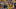 LANDOVER, MD – SEPTEMBER 24: Shelton Gibson Jr. and Daikiel Shorts Jr. celebrate scoring a touchdown in the West Virginia game against Maryland. LANDOVER, MD – SEPTEMBER 24: Shelton Gibson Jr. and Daikiel Shorts Jr. celebrate scoring a touchdown in the West Virginia game against Maryland.