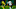 Dan Scarlett of Tottenham vs Paços de Ferreira Dan Scarlett of Tottenham vs Paços de Ferreira