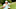 Wyndham Championship, Sedgefield Country Club, Sedgefield, Greensboro, PGA Tour, FedEx Cup, 2023 Wyndham Championship