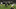 New Footage Shows Mike Tomlin Stepping Toward The Field New Footage Shows Mike Tomlin Stepping Toward The Field
