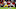 (Photo by Kevin C. Cox/Getty Images) – Los Angeles Rams (Photo by Kevin C. Cox/Getty Images) – Los Angeles Rams