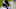 Duane Brown, Seattle Seahawks Duane Brown, Seattle Seahawks