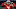 (Photo by Ronald Martinez/Getty Images) – Los Angeles Chargers (Photo by Ronald Martinez/Getty Images) – Los Angeles Chargers