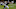 Chicago Bears, Jace Sternberger Chicago Bears, Jace Sternberger