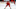 Detroit Red Wings Detroit Red Wings