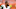 Darrelle Revis Darrelle Revis