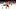 Edmonton Oilers Edmonton Oilers